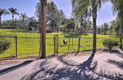 Equestrian Estate with Horse Stables and Pool! - Foto 29