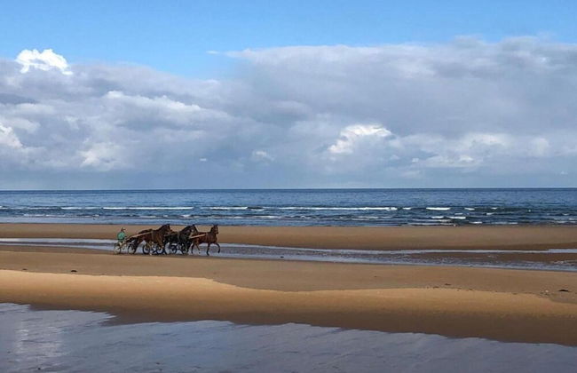 Charming Coastal Hideaway - Foto 28