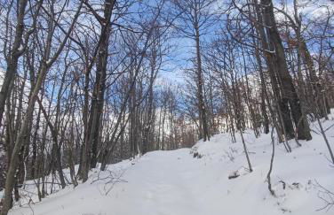 Agriturismo il fosso - Foto 11