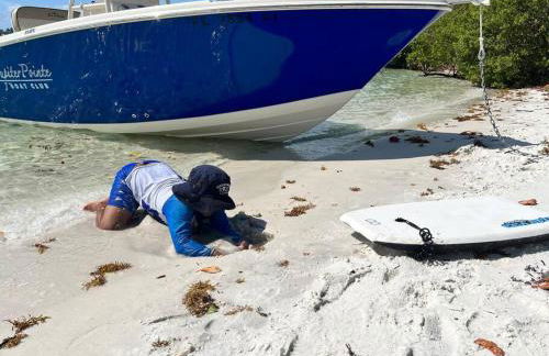 Golfers Paradise 4-hole PUTT-PUTT, Mega Chess with huge backyard, hammock - Photo 49