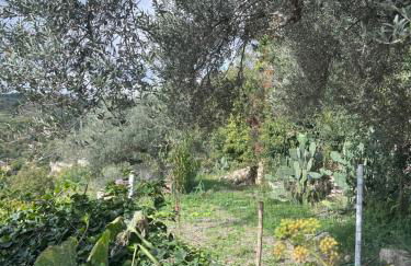 La Rosa dei Monti Iblei - Foto 12