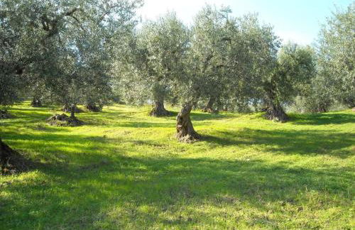 Apartment Anwesen mit Gemeinschaftspool by Interhome - Foto 42