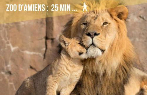 Les Perles Amiénoises-Suite Luxe Centre-Parking - Foto 26