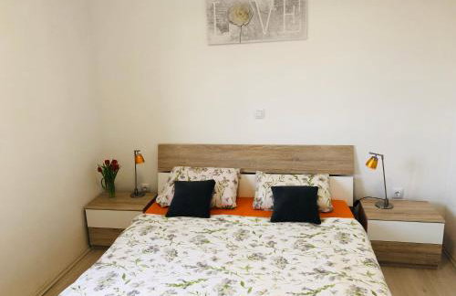 Apartman Petar - Foto 23