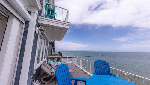 Blue Marlin - Foto 5