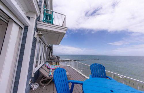 Blue Marlin - Foto 5