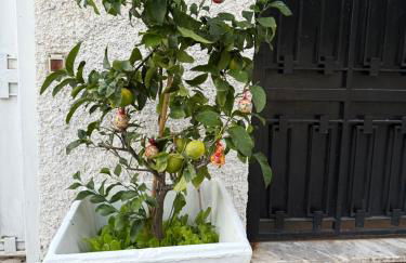 appartamento in villa a Pietragrande Villa Mi Vida - Photo 57