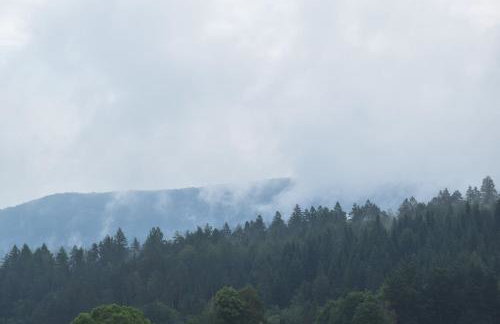 Domki w Bieszczadach Nowa Zelandia - Photo 26