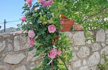 Sofias Studio - Foto 13