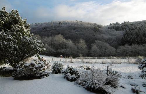 Land des Friedens in Nettersheim / Eifel - Photo 26