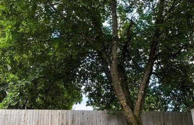 Modern Comfort Near Downtown CDA and Lake - Foto 32