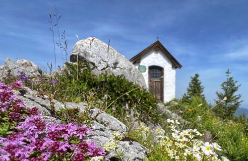 Ferienhaus Bachperle - Alpenidyll mit Kamin, Balkon oder Terrasse für Genießer - Foto 76