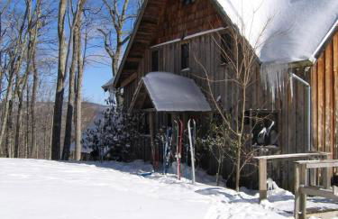 Secluded Cabin Rental with Hot Tub on Cranberry Mountain in West Virginia - Foto 26