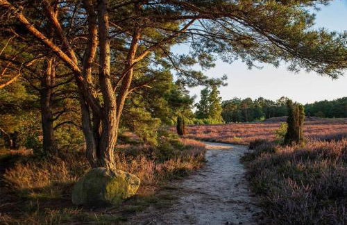 Seeliebe, 300 Meter zum Wasser, mit Terrasse und Garten - Foto 59