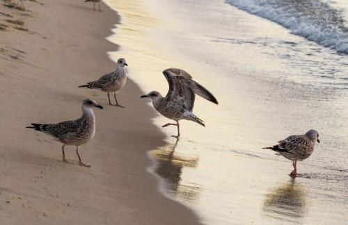Maries Sterntaler Appartement - Photo 16