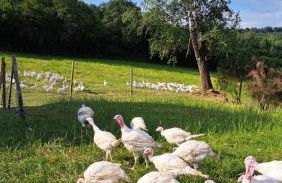 Haus Eselsblick - Foto 23