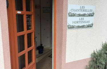 Les Chanterelles La souris des champs - Foto 58