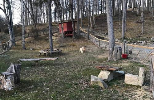 Petting Zoo! Hot Tub, 15 acres, stream & Romance! - Foto 16