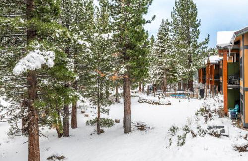 Solstice 21 - Foto 29