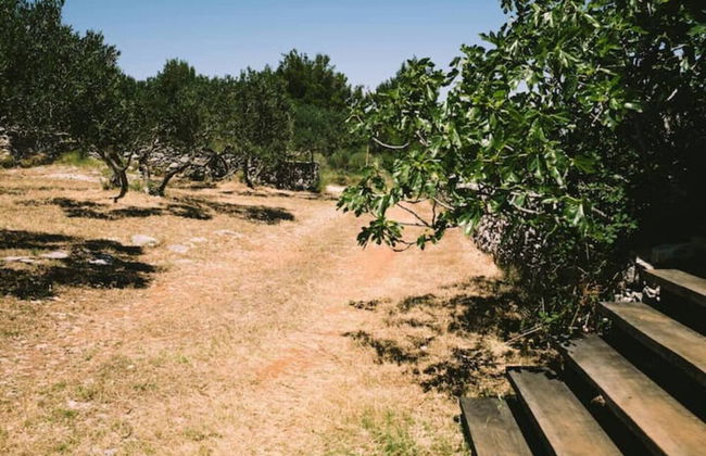 Lovely Cottage With sea Views in Selca, Croatia - Foto 41