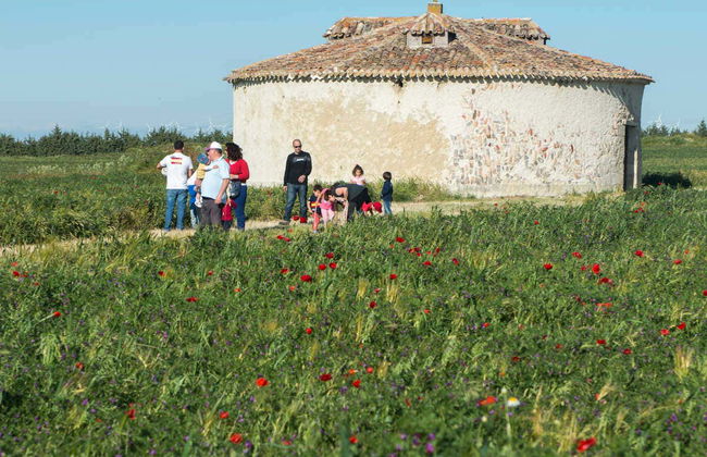 Visita guiada por la finca de Matallana - Foto 7