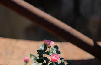 Agriturismo Villa Guarnaschelli - Foto 76