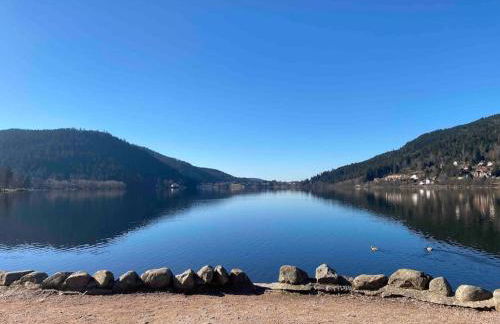 Au Temps Passé - Photo 6