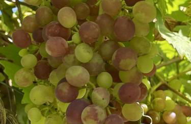 Dornröschen-Loft - Photo 33