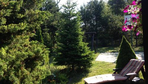 Family House Gowidlino - Foto 5, Garden view