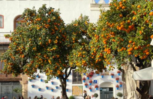 Blue Lady by the Sea - Photo 55