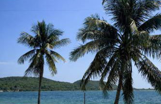 Casa do Sol - 300M da Praia - Photo 19