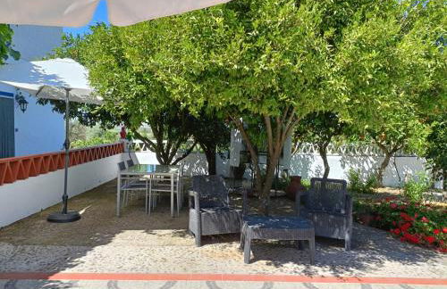 Monte das Galhanas - Foto 53