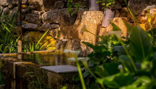 Lemon Tree Cottage at Terrus Winery - Foto 5, Garden