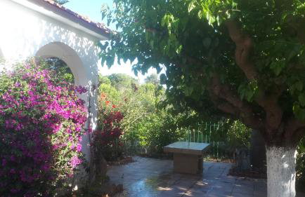 Villa Dunes 350m from the sandy beach - Foto 75