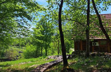 Guest house Mihovil - Foto 31