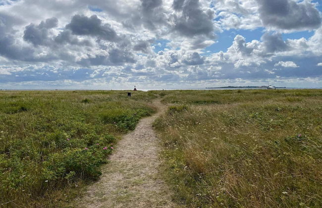 10 Person Holiday Home in Haderslev-by Traum - Photo 22