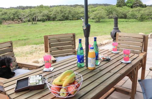 Pine Marten - Foto 30