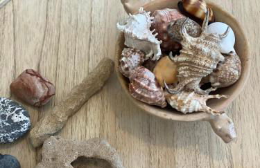 Bordal Houses Casa da Areia - Foto 36