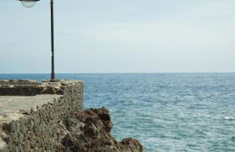 LAR Tamaduste - Foto 19