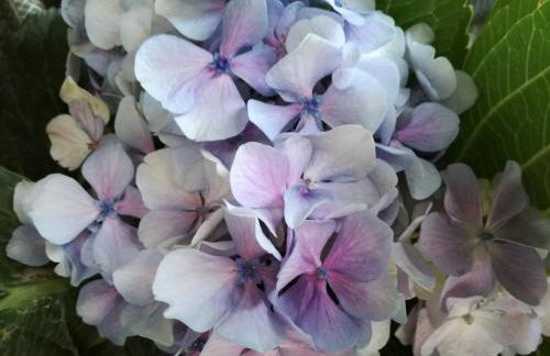 O Ze Ja Dormiu Aqui - Photo 38