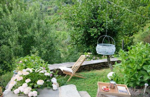 Casa do Engenho - Canadelo Amarante - Foto 39