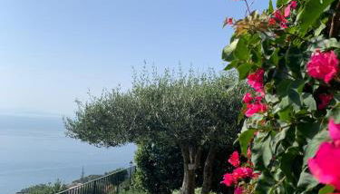 Villa Gelsomina - Foto 3