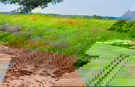 Flotel St-Tropez St-Blaise - Photo 16