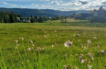 Waldgeflüster 2-Zi-DesignOase mit Terrasse und Tiefgarage im Neubau - Foto 30