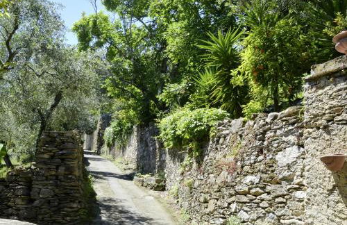 Holiday Home Laura - DOL281 by Interhome - Foto 48