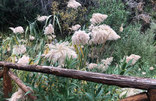 La casetta di Vany - Foto 11