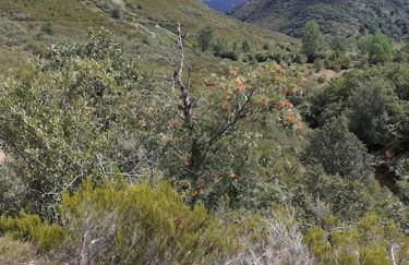 La casa de Juan el Cantero - Foto 14