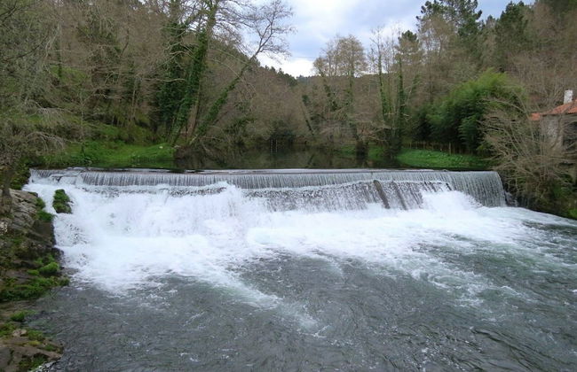 Suite Familiar Conheca O Minho E Descanse Em Plena Natureza - Foto 8