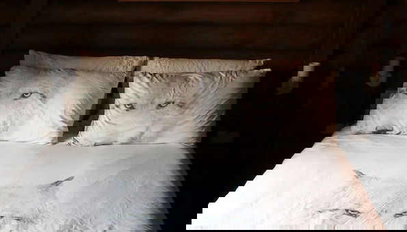 Dalia Barama - Foto 3, Habitación