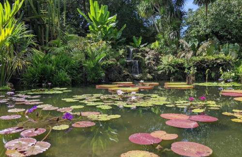 Insta Worthy Oasis - Foto 25